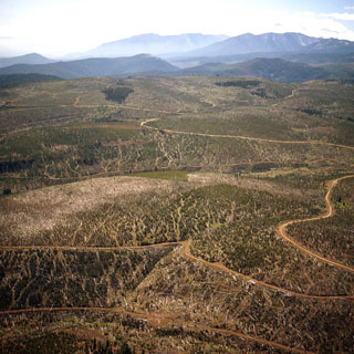 1960 Anthony fire area - 1976